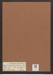 Hantzschia amphioxys var. hyperborea Grun. (de-Toni-Nr.: Genus 50, Species 2204) Zeichnungen Sammlung Grunow Mappe 02423 (Herbarium_W_Grunow_drawings_Folder_02423)